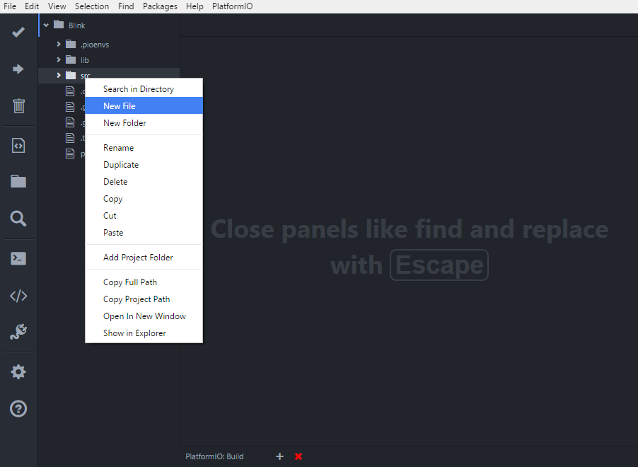 PlatformIO IDE - src new file